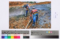 勞動影像暨說故事徵集比賽作品〈保護山坡地〉吳玉麟攝藏品圖，第2張