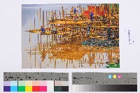 勞動影像暨說故事徵集比賽作品〈搭架〉吳玉麟攝藏品圖，第2張