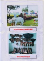 2015年勞動影像暨說故事徵集比賽-林政輝先生作品藏品圖，第1張