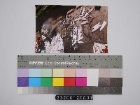 2015年勞動影像暨說故事徵集比賽-龔恆先生作品藏品圖，第1張