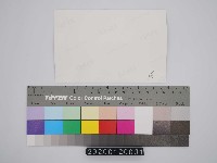 2015年勞動影像暨說故事徵集比賽-龔恆先生作品藏品圖，第3張