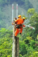 2015年勞動影像暨說故事徵集比賽《電力建設勞工高空施工》蔡致模攝藏品圖，第1張