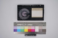 「影帶」高雄市勞資聯歡雷射晚會藏品圖，第1張