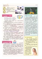 《美麗大使》第74期藏品圖，第2張