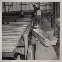 台肥公司《磷酸工場機械設備暨600噸磷酸貯槽安裝工程》照片2藏品圖，第9張