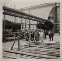 台肥公司《五十五年三月監察委員視察本廠》照片3藏品圖，第6張