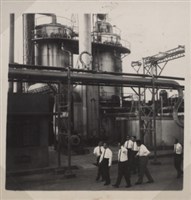 台肥公司《行政院國營機關攷察團蒞廠攷察》照片2藏品圖，第4張