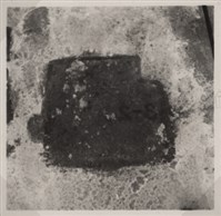 台肥公司《食品廠相簿》照片1藏品圖，第12張