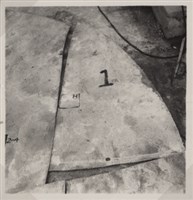 台肥公司《食品廠相簿》照片1藏品圖，第14張