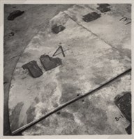 台肥公司《食品廠相簿》照片2藏品圖，第16張