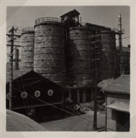 台肥公司《食品廠相簿》照片3藏品圖，第5張