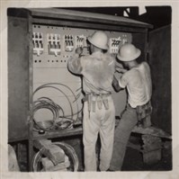 台肥公司《食品廠相簿》照片3藏品圖，第13張