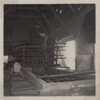 台肥公司《食品廠相簿》照片5藏品圖，第10張