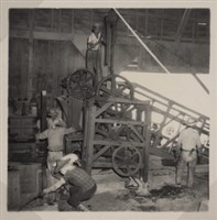 台肥公司《食品廠相簿》照片5藏品圖，第12張