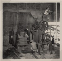 台肥公司《食品廠相簿》照片5藏品圖，第13張