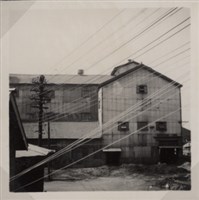 台肥公司《食品廠相簿》照片6藏品圖，第12張