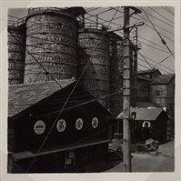 台肥公司《食品廠相簿》照片6藏品圖，第14張