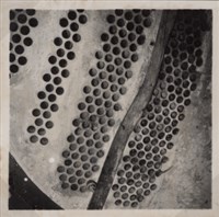 台肥公司《食品廠相簿》照片7藏品圖，第11張