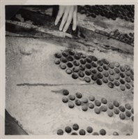 台肥公司《食品廠相簿》照片7藏品圖，第12張