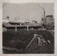 台肥公司《食品廠相簿》照片8藏品圖，第2張