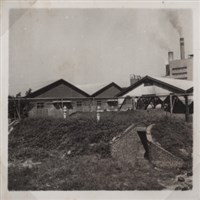 台肥公司《食品廠相簿》照片8藏品圖，第3張