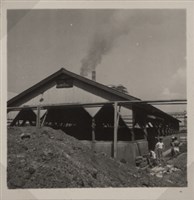 台肥公司《食品廠相簿》照片8藏品圖，第6張