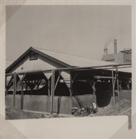 台肥公司《食品廠相簿》照片8藏品圖，第13張