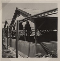 台肥公司《食品廠相簿》照片8藏品圖，第14張