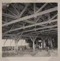 台肥公司《食品廠相簿》照片8藏品圖，第16張