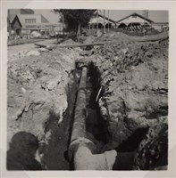 台肥公司《食品廠相簿》照片9藏品圖，第4張