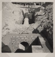 台肥公司《食品廠相簿》照片9藏品圖，第7張