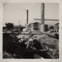 台肥公司《食品廠相簿》照片9藏品圖，第8張