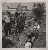 台肥公司《食品廠相簿》照片9藏品圖，第9張