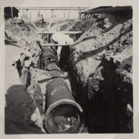 台肥公司《食品廠相簿》照片9藏品圖，第12張