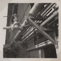 台肥公司《食品廠相簿》照片9藏品圖，第15張