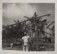 台肥公司《食品廠相簿》照片10藏品圖，第3張