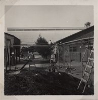 台肥公司《食品廠相簿》照片10藏品圖，第9張