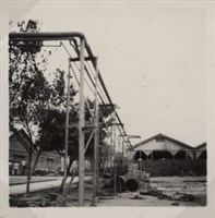 台肥公司《食品廠相簿》照片10藏品圖，第10張