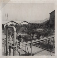 台肥公司《食品廠相簿》照片10藏品圖，第12張