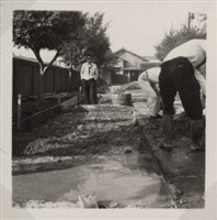 台肥公司《食品廠相簿》照片11藏品圖，第2張