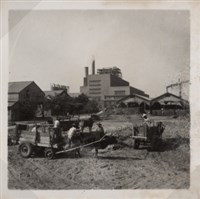 台肥公司《食品廠相簿》照片11藏品圖，第5張