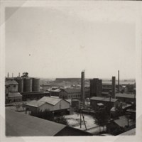 台肥公司《食品廠相簿》照片11藏品圖，第7張