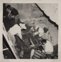 台肥公司《食品廠相簿》照片11藏品圖，第8張