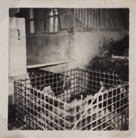 台肥公司《食品廠相簿》照片11藏品圖，第10張