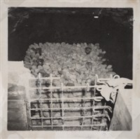 台肥公司《食品廠相簿》照片11藏品圖，第11張