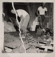 台肥公司《食品廠相簿》照片11藏品圖，第13張