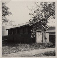 台肥公司《食品廠相簿》照片15藏品圖，第8張