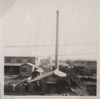 台肥公司《食品廠相簿》照片15藏品圖，第16張