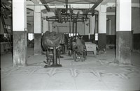 台肥公司《食品廠相簿》底片藏品圖，第3張