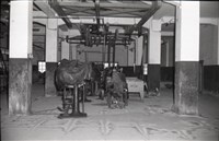 台肥公司《食品廠相簿》底片藏品圖，第23張